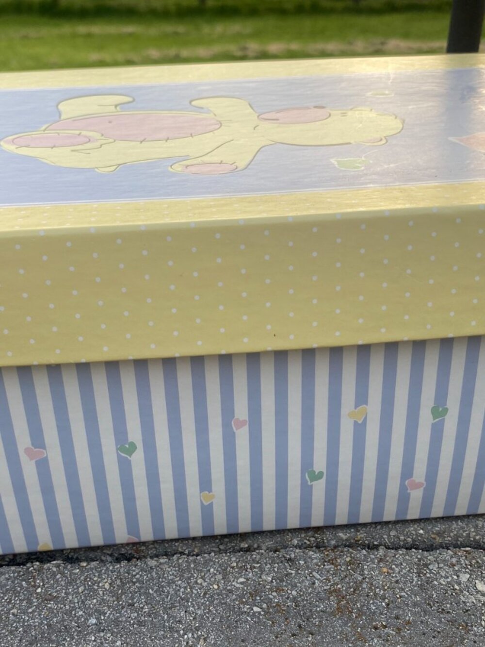 Bear Shoebox-Good Condition! - Picture 11 of 12